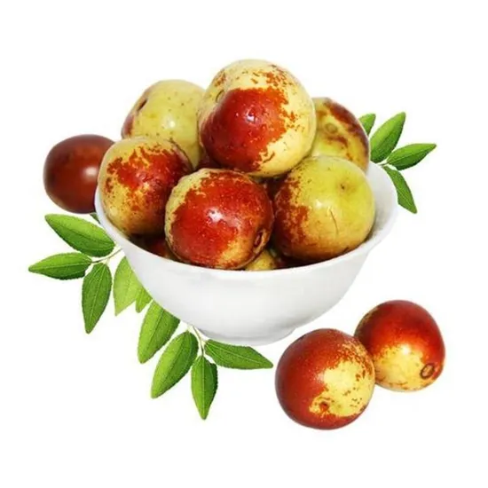 Wholesale Special Date Crispy A Grade Fresh Fruit Winter Jujube