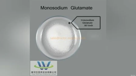 Msg de qualité alimentaire 99 % (glutamate monosodique) Épices Msg salées