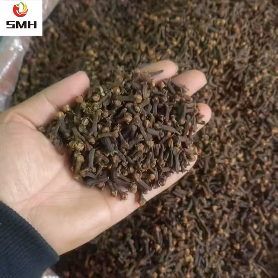 Épices à tige unique séchées, herbes, clou de girofle